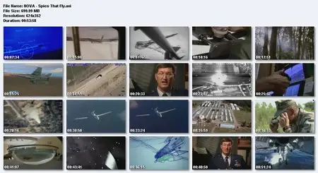 Spies that Fly