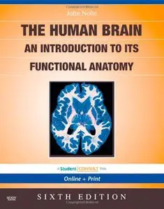 The Human Brain: An Introduction to its Functional Anatomy [Repost] 
