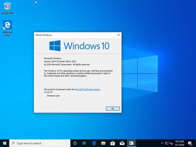 Windows 10 Pro 20H1 2004.19041.423 (x86/x64) Multilanguage Preactivated