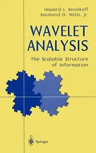 Wavelet analysis and scalable structure of information