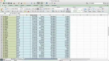Excel Pivot Tables in a Nutshell