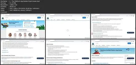 The Complete Salesforce Platform App Builder Certification