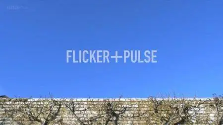 BBC - A Year in an English Garden: Flicker and Pulse (2017)