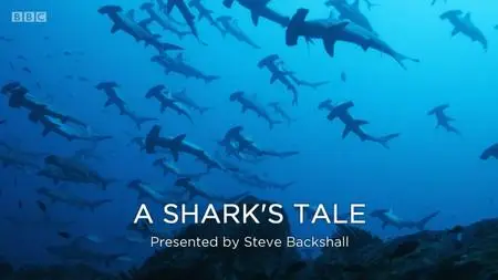 BBC - Blue Planet Revisited, Series 1: A Shark's Tale (2020)