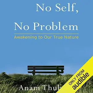 No Self, No Problem: Awakening to Our True Nature