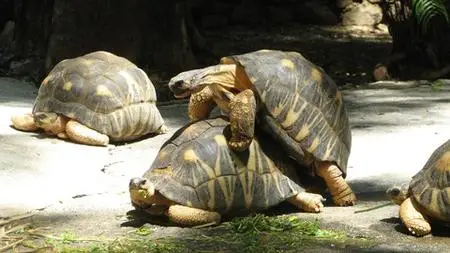 Art Therapy And Your Sex Life