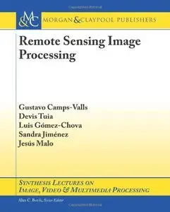 Remote Sensing Image Processing (Repost)
