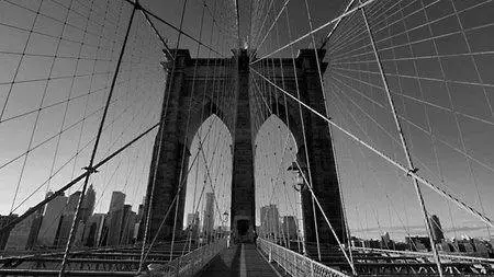 The Traveling Photographer: New York [repost]