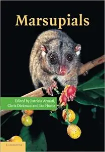 Marsupials