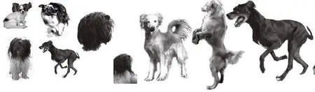 Dogs brushes for Photoshop