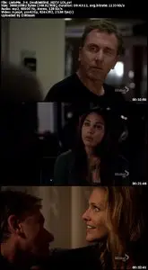 Lie to Me - S03E04: Double Blind
