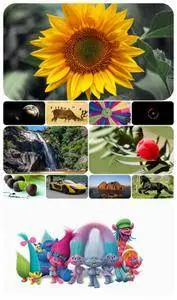 Beautiful Mixed Wallpapers Pack 402