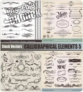 Calligraphical elements 5 - Stock Vector
