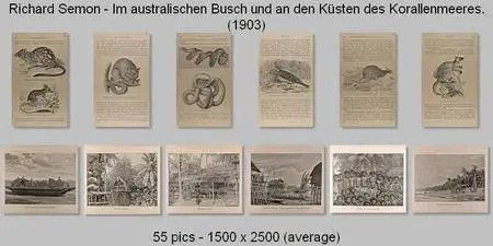 Richard Semon - Im australischen Busch und an den Küsten des Korallenmeeres (1903)