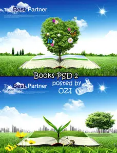 Books PSD 2