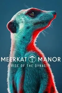Meerkat Manor: Rise of the Dynasty S01E02