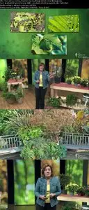 The Great Courses - How to Grow Anything Container Gardening Tips and Techniques