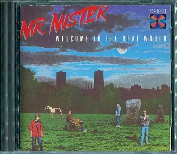 mr mister welcome to the real world rarest