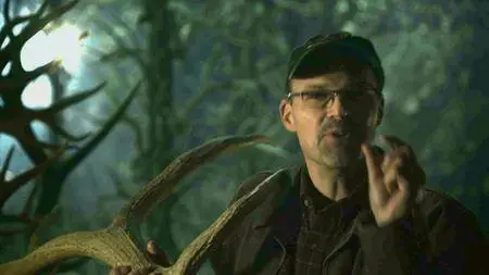 BBC Natural World - Nature's Wildest Weapons (2017)