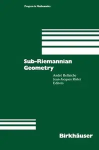 Sub-Riemannian Geometry (Repost)
