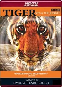 BBC: Tiger. Spy in the Jungle (2008) 