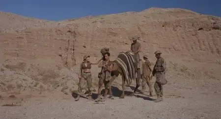 In the Army Now (1994)