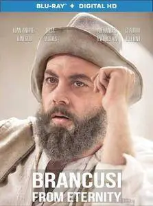 Brancusi from Eternity (2014)