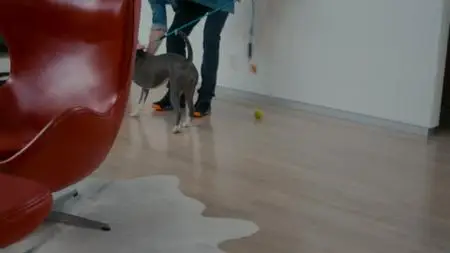 Canine Intervention S01E01