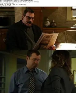 Blue Bloods S01E16