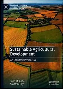 Sustainable Agricultural Development: An Economic Perspective