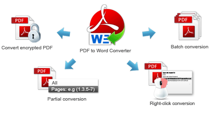AnyBizSoft PDF to Word 2.5.5 Portable