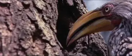 Animals Are Beautiful People (1974)