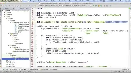 Java and MongoDB Rapid App Prototyping (Developer Talks): App Development using HTML5, AngularJS, Groovy, Java, and MongoDB