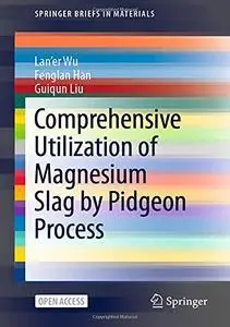 Comprehensive Utilization of Magnesium Slag by Pidgeon Process