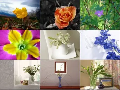 80 Beautiful Flowers Wallpapers HQ #10