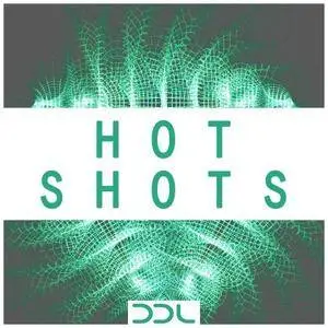 Deep Data Loops Hot Shots WAV