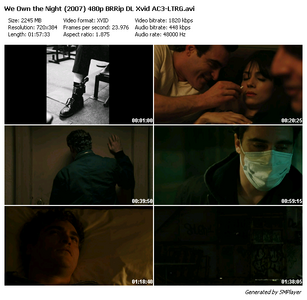 We Own the Night (2007)