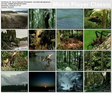 BBC Wildlife Special - Sur la Terre des Dinosaures - Les lutins des glaces (5/6)