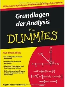 Grundlagen der Analysis für Dummies [Repost]