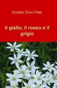Il giallo, il rosso e il grigio