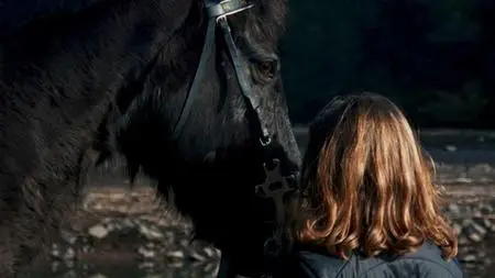 Trauma Informed Practice In Equine Assisted Services