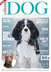 Edition Dog - Issue 16 - February 2020