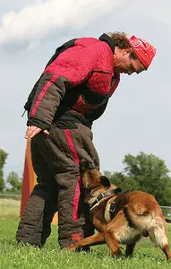 Dog Training: Building Drive & Focus with Bernhard Flinks