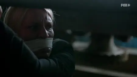 Homeland S02E10