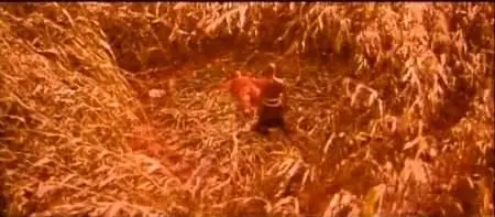 Zhang Yimou-Hong gao liang ('Red Sorghum') (1987)