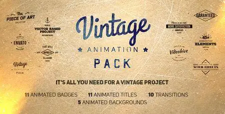 Vintage Animation Pack - Project for After Effects (VideoHive)