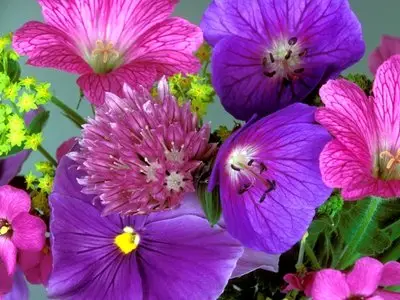 flower