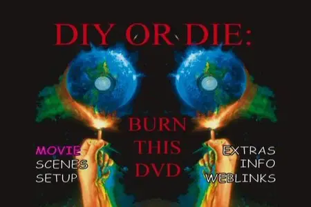 D.I.Y. or Die: How to Survive as an Independent Artist
