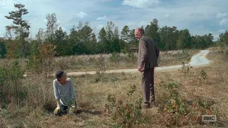 The Walking Dead S07E15 (2017)