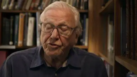 Attenborough and the Giant Elephant (2017)